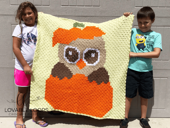crochet fall owl c2c blanket pattern