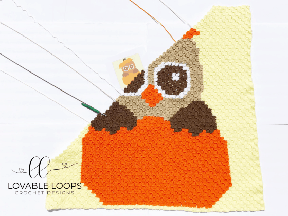 crochet fall owl c2c blanket pattern