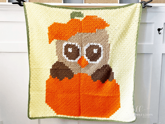Owl Blanket c2c Crochet Pattern Free
