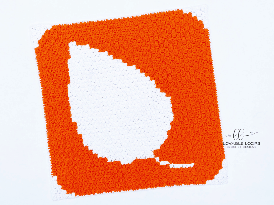 four seasons winter spring summer fall c2c blanket free crochet pattern