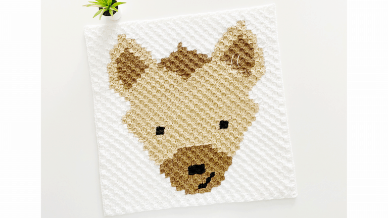 c2c Hyena