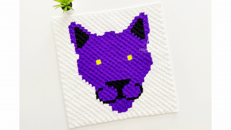 c2c Panther